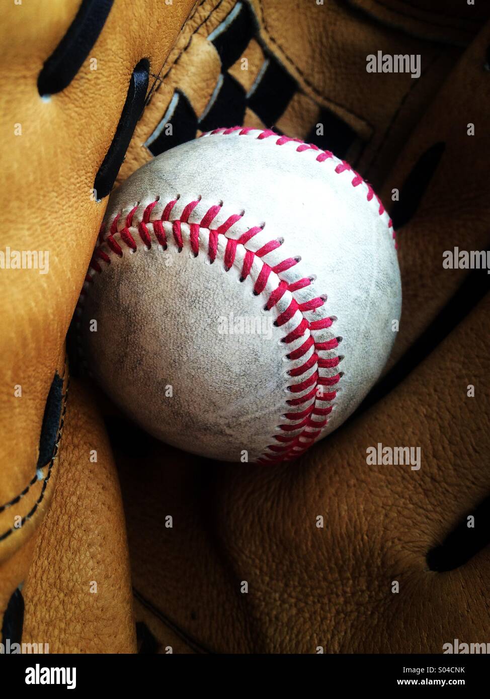 Baseball in einem Handschuh Stockfoto