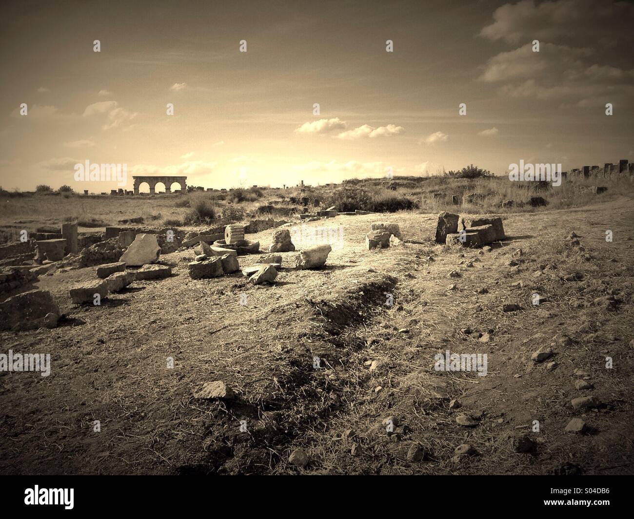 Römische Ruinen, Volubilis, Marokko Stockfoto