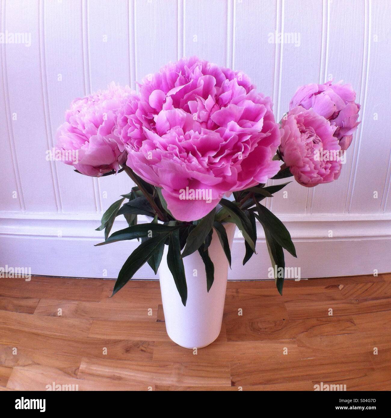 Vase mit rosa Pfingstrose Blumen - Smartphone-aufgenommenes Stockfoto