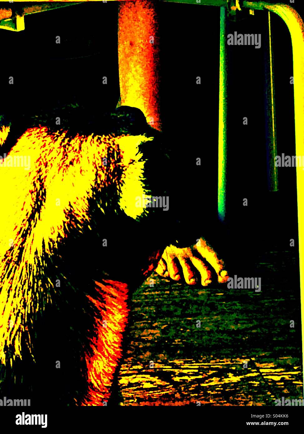 Treue - Smartphone-aufgenommenes Stockfoto