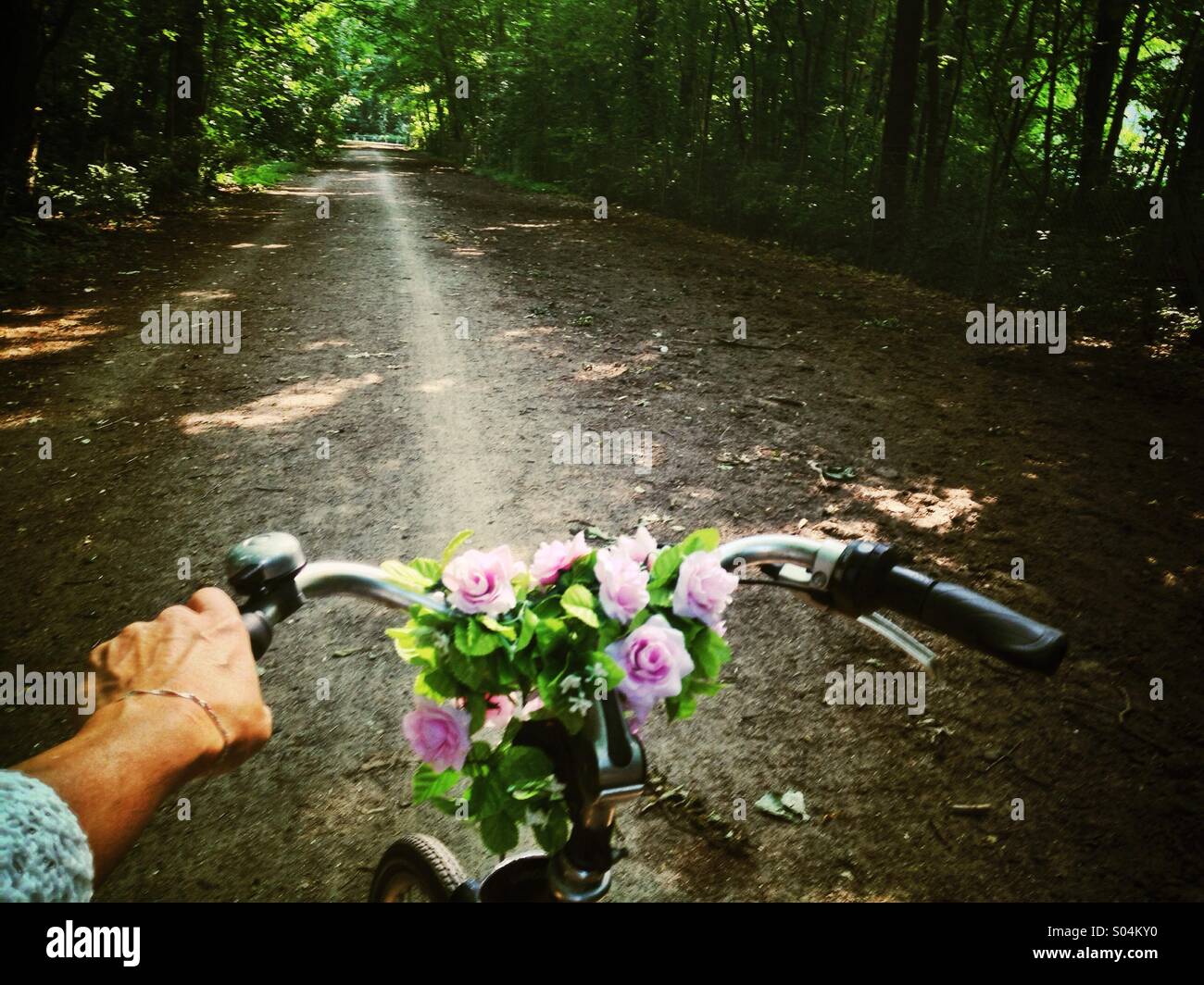 Radfahren durch den Park, Nahaufnahme von Frauenhand holding Fahrradlenker, Blick auf Lane durch Wälder, Sonnenlicht Stockfoto