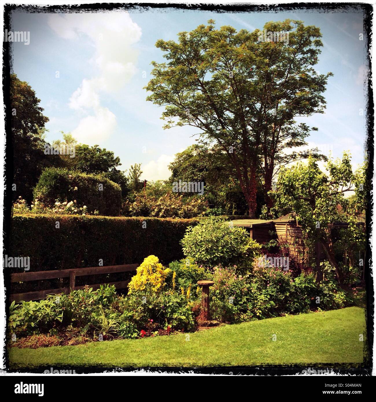 Gepflegten Englischen Garten hinter dem Haus Stockfoto