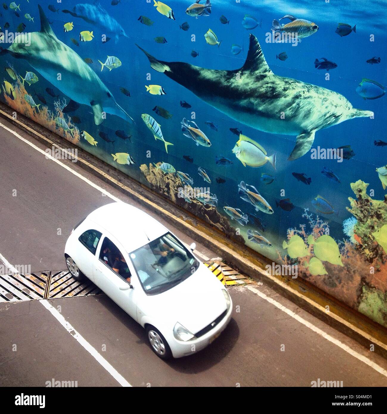 Ein weißes Auto fährt in eine Autobahn, dekoriert mit einem Wandbild Foto dekoriert mit Delfinen schwimmen auf die Tiefe des Ozeans in Chapultepec Allee, Colonia Roma, Mexiko-Stadt, Mexiko - Smartphone-aufgenommenes Stockfoto