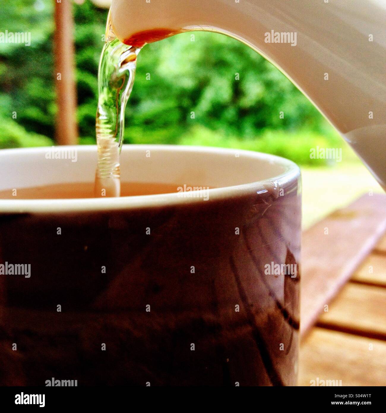 Tee gießen Stockfoto