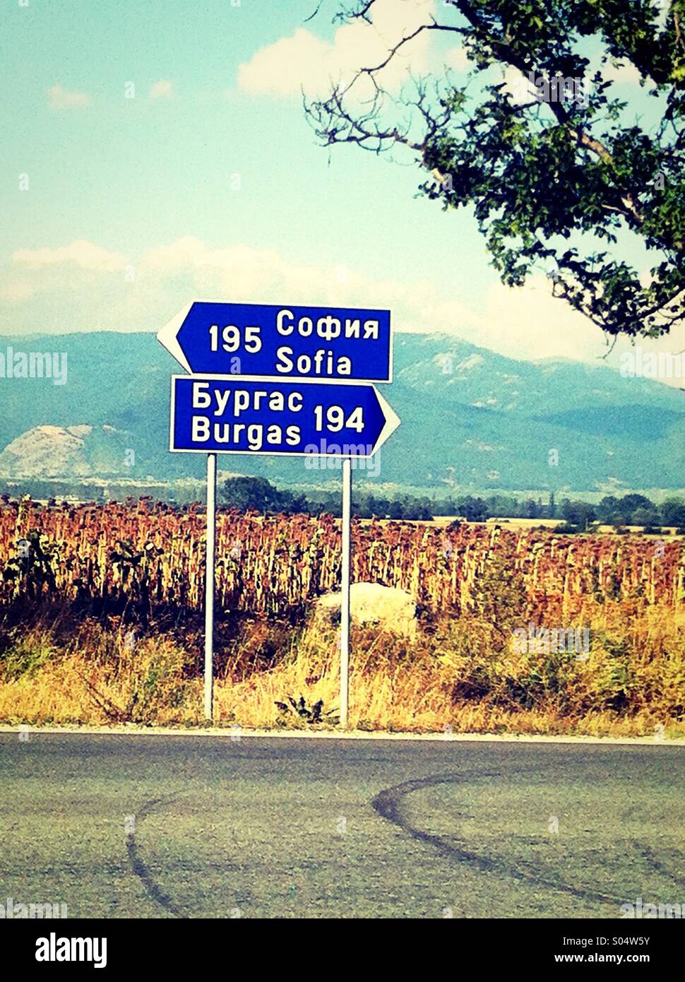 Wegweiser auf einer Straße, Bulgarien Stockfoto