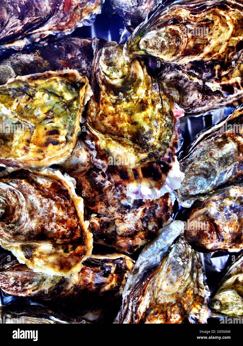 Austern #2 Stockfoto