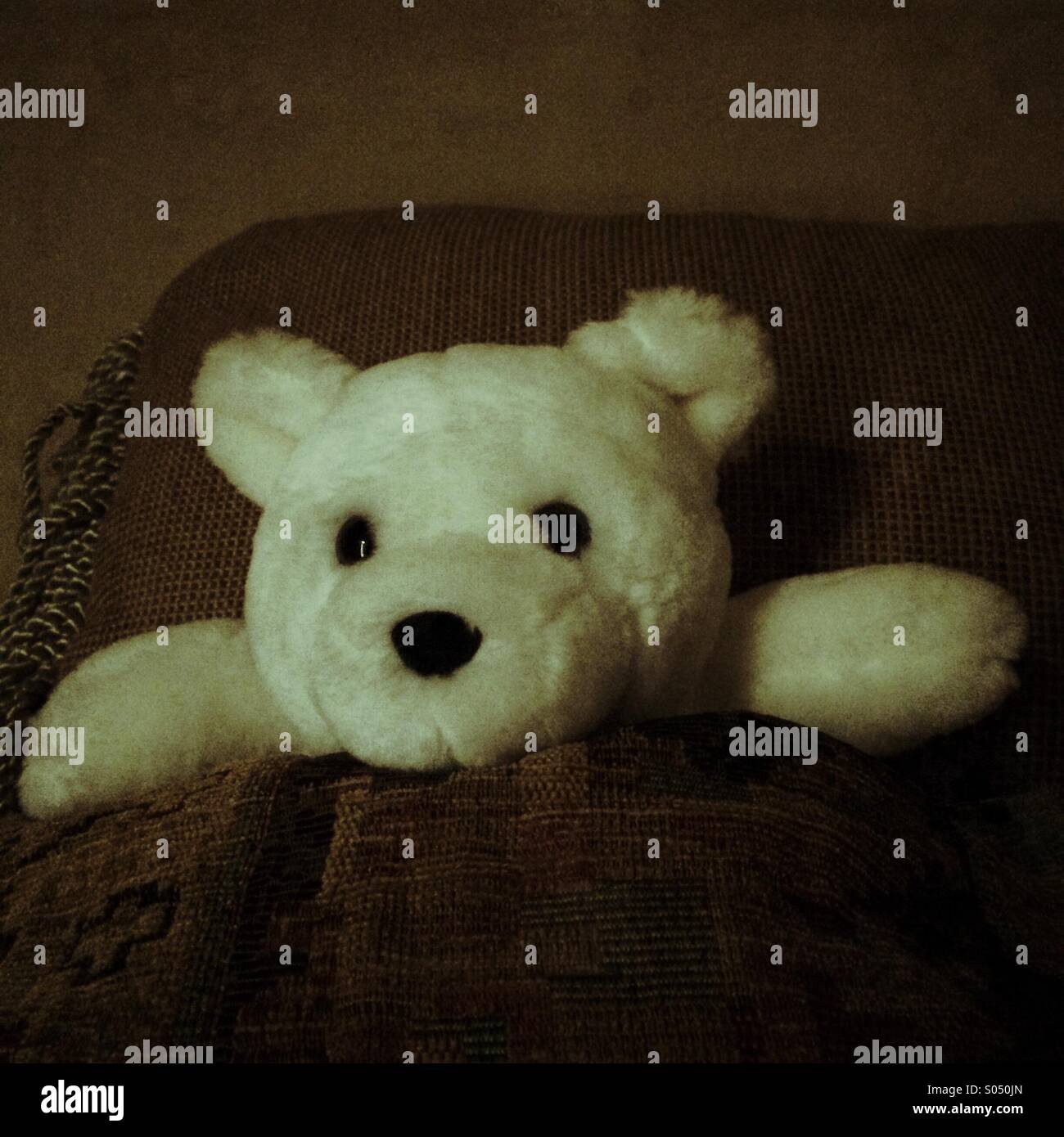 Teddy bear tucked bed -Fotos und -Bildmaterial in hoher Auflösung – Alamy