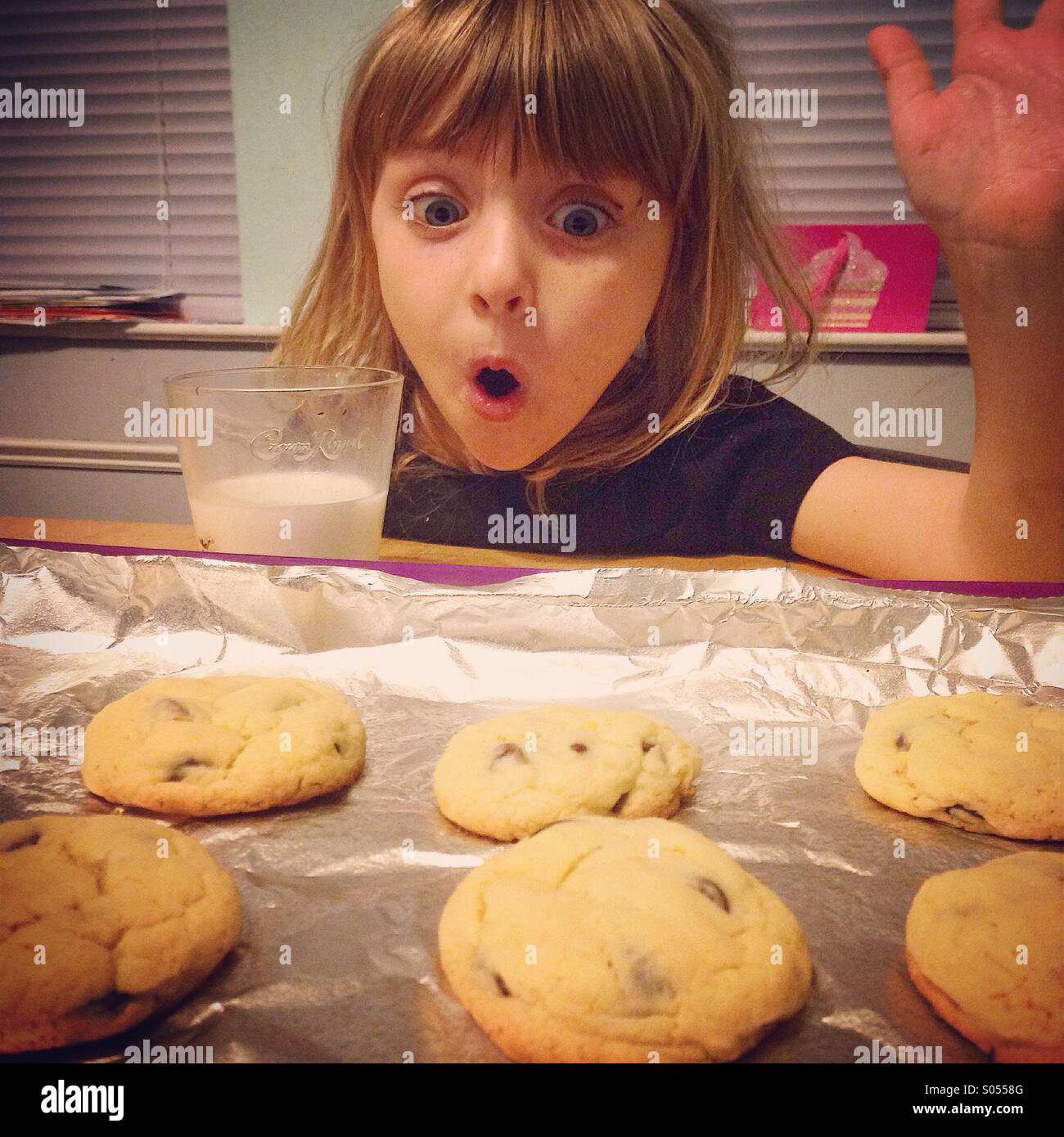 Cookie monster -Fotos und -Bildmaterial in hoher Auflösung – Alamy Cookie monster -Fotos und -Bildmaterial in hoher Auflösung – Alamy