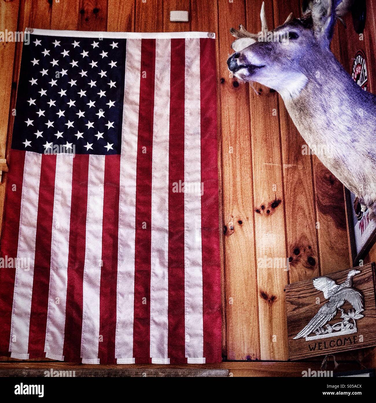 Amerikanische Flagge und gefüllte Reh. Nova, Ohio. Stockfoto