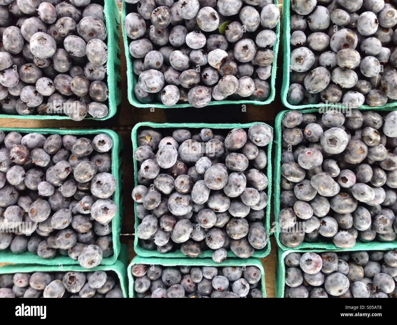 Heidelbeeren-Hintergrund - Smartphone-aufgenommenes Stockfoto