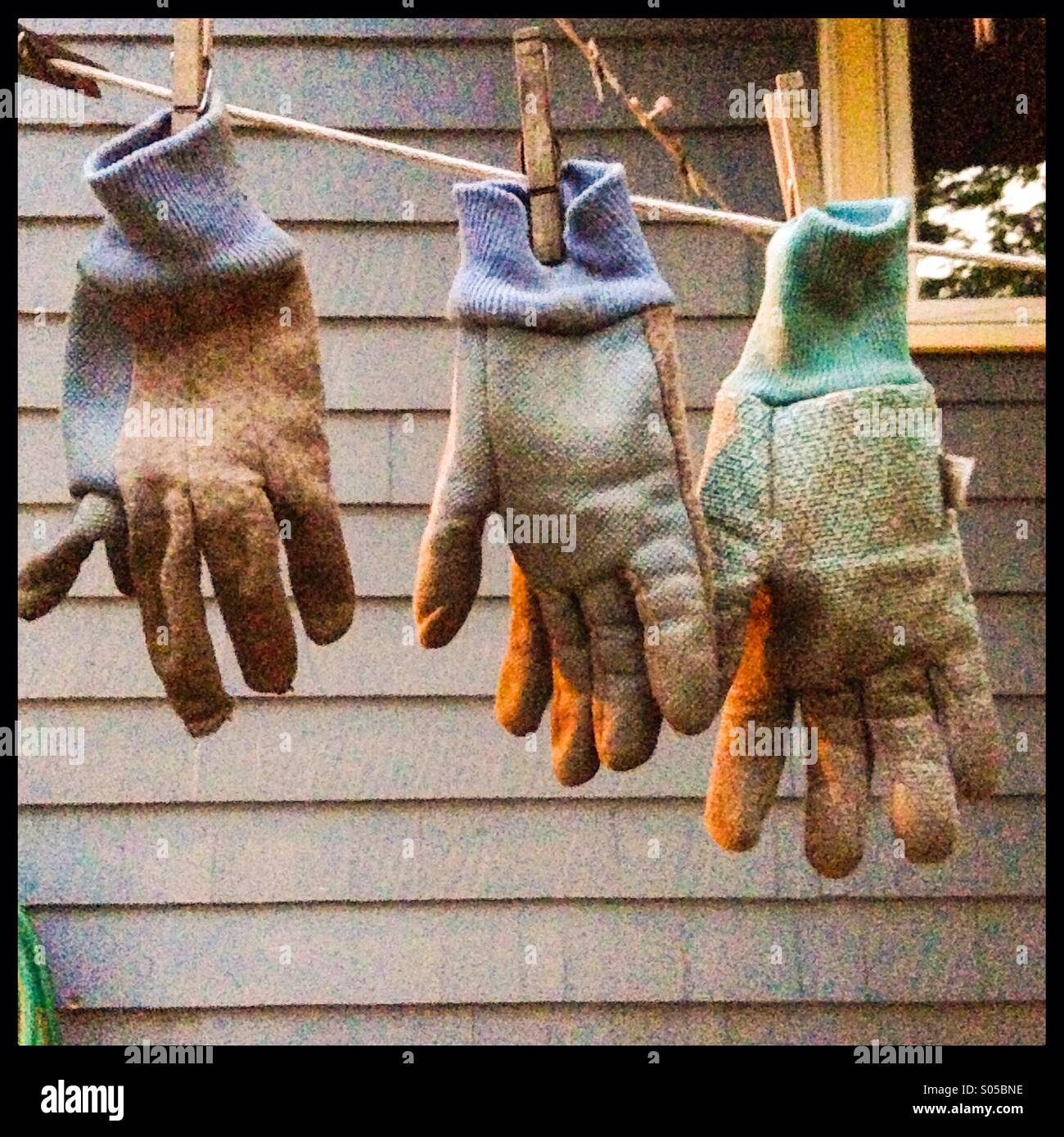 Begrünte Handschuhe, boston Stockfoto