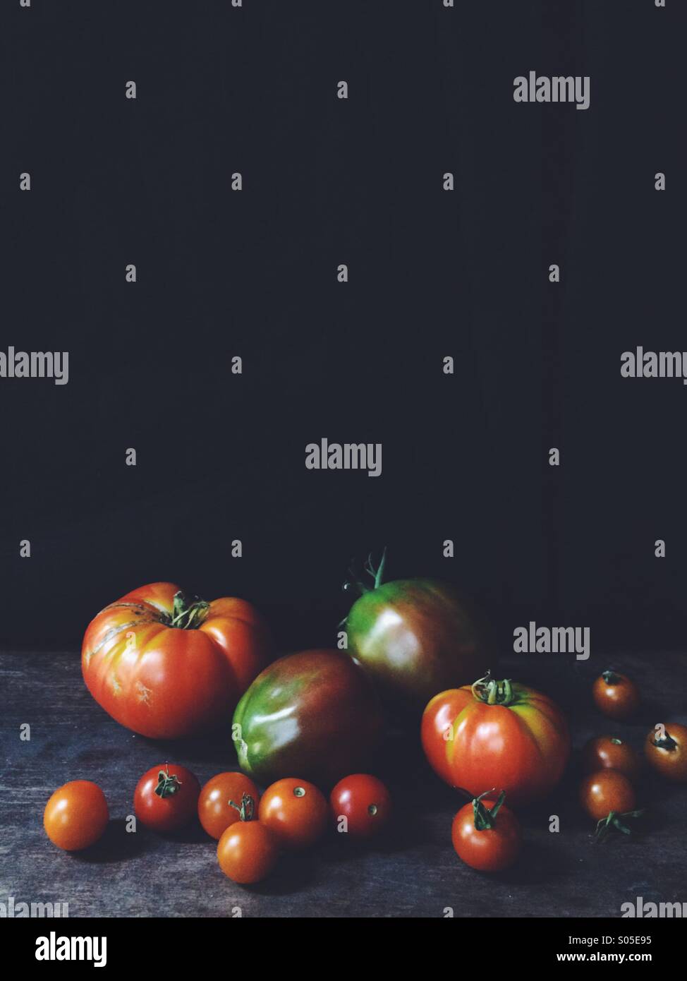 Bio-Tomaten. - Smartphone-aufgenommenes Stockfoto