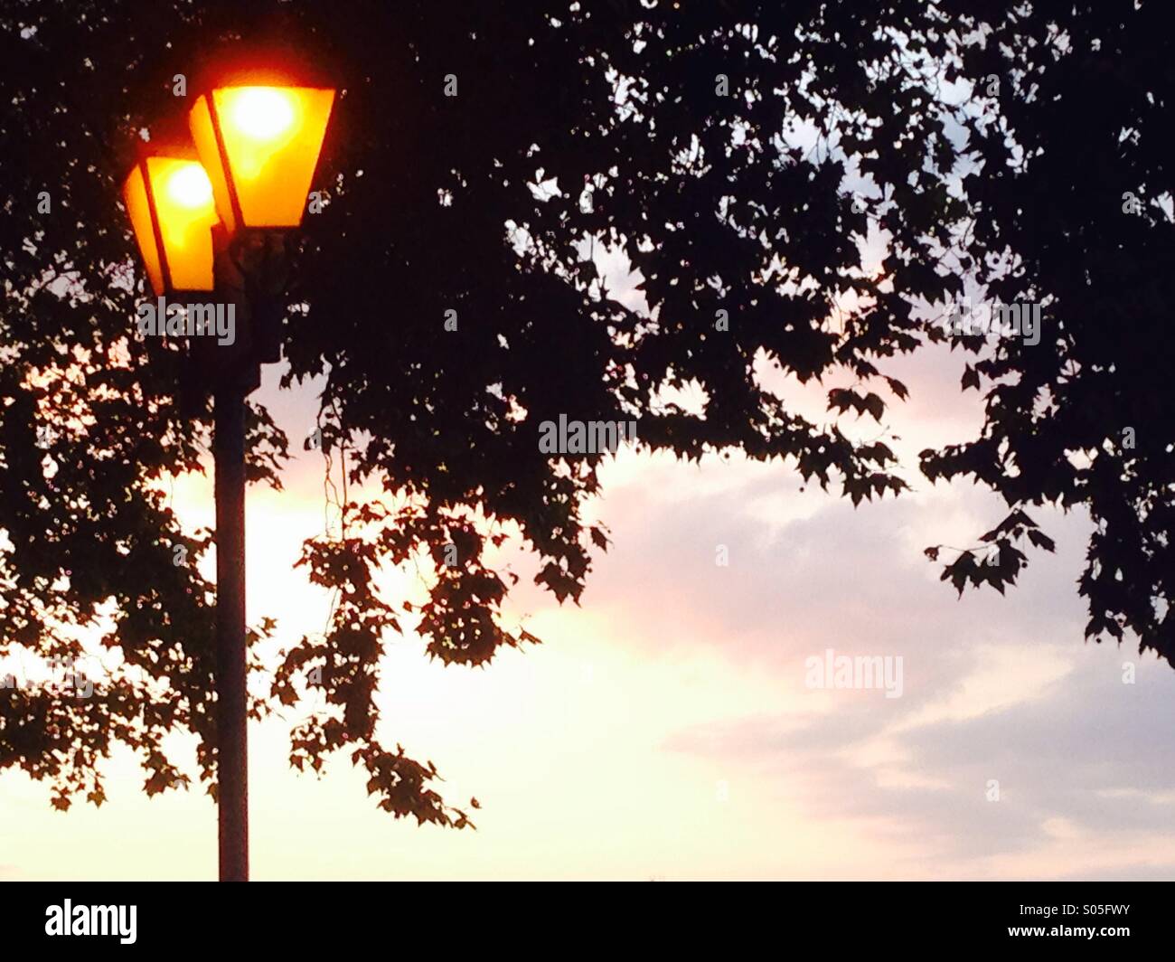 Victorian Straßenbeleuchtung am frühen Abend unter die Silhouette von schattigen Bäumen mit Sonnenuntergang Himmel - Smartphone-aufgenommenes Stockfoto