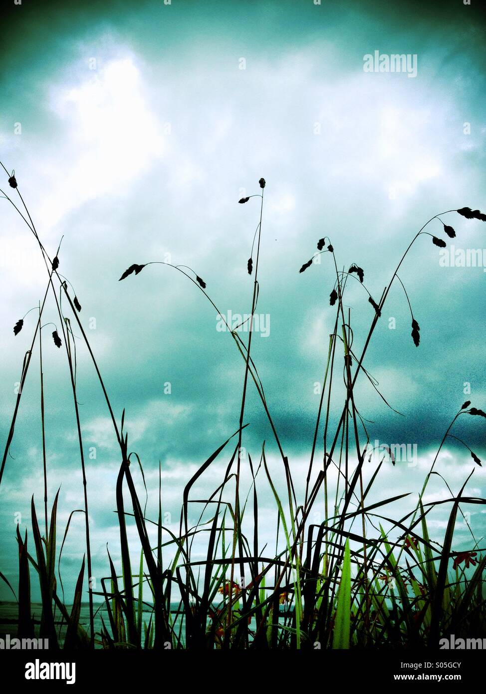 Sturm zieht auf - Smartphone-aufgenommenes Stockfoto