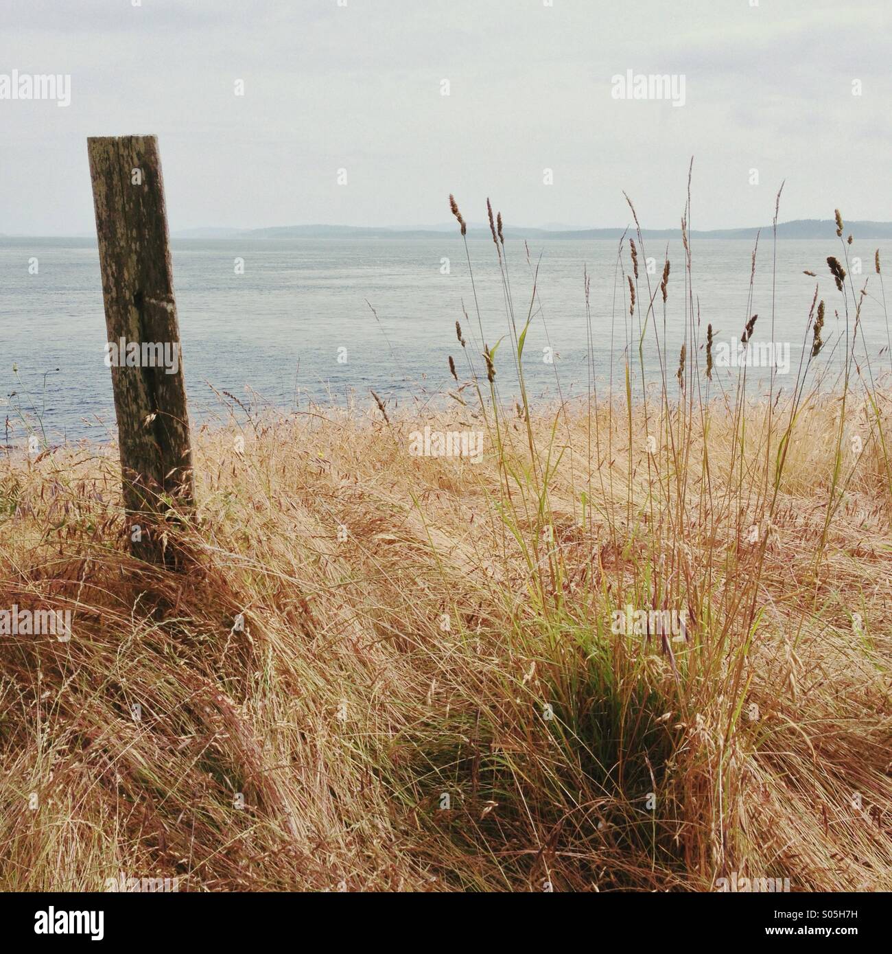 Minimalistische Landschaft mit Gräsern und Post mit Blick auf Meer und Inseln Stockfoto
