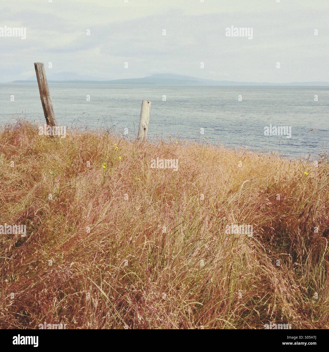 Minimalistische Landschaft mit Gräsern und Beiträge mit Blick auf Meer und Inseln. Stockfoto