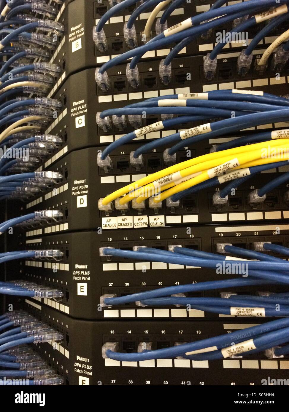 Ethernet-Kabel werden in einem Server-Rack gesteckt. - Smartphone-aufgenommenes Stockfoto