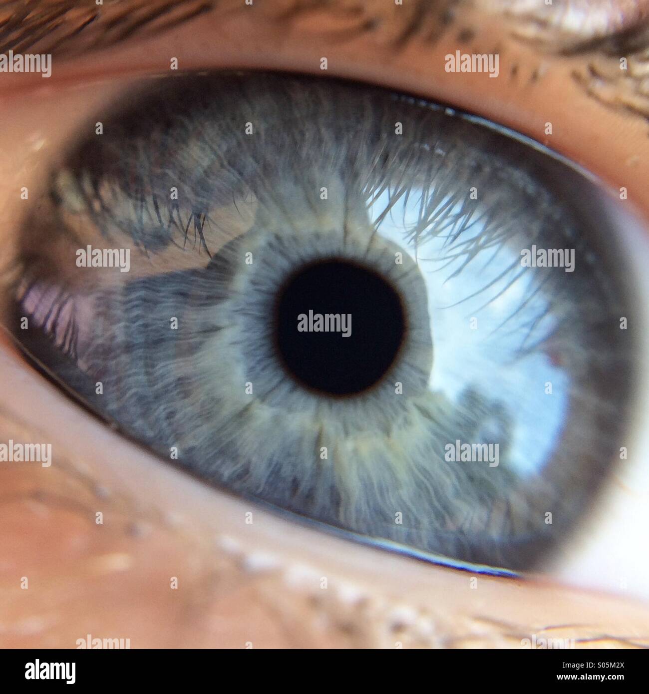 Blaues Auge Stockfoto