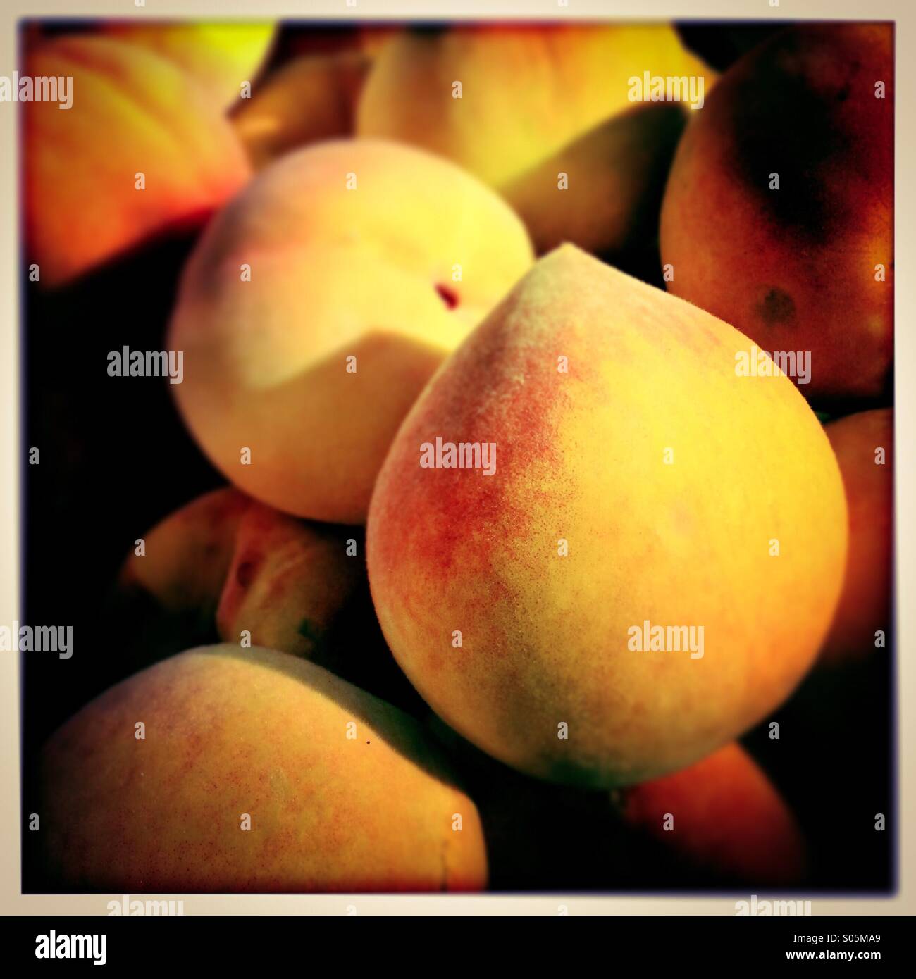Pfirsiche in Modesto, Kalifornien. Stockfoto