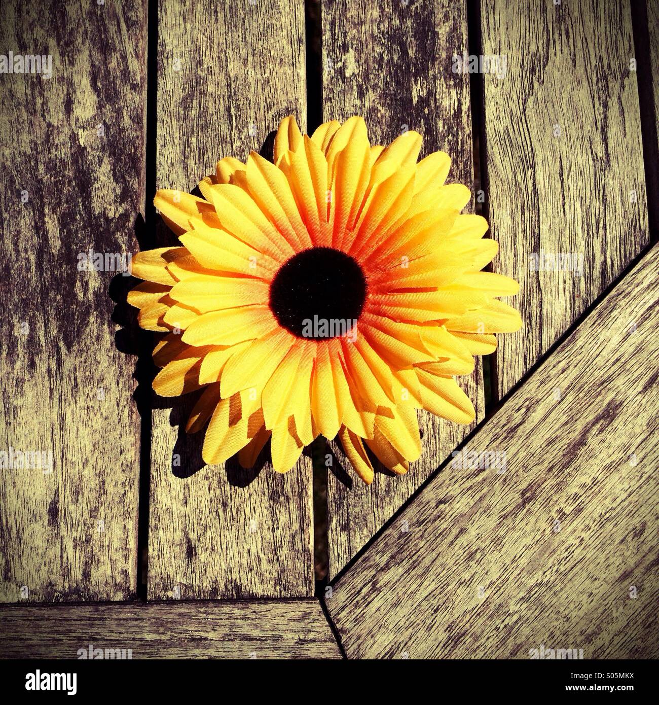 Abstrakte Sonnenblume auf Holztisch Stockfoto