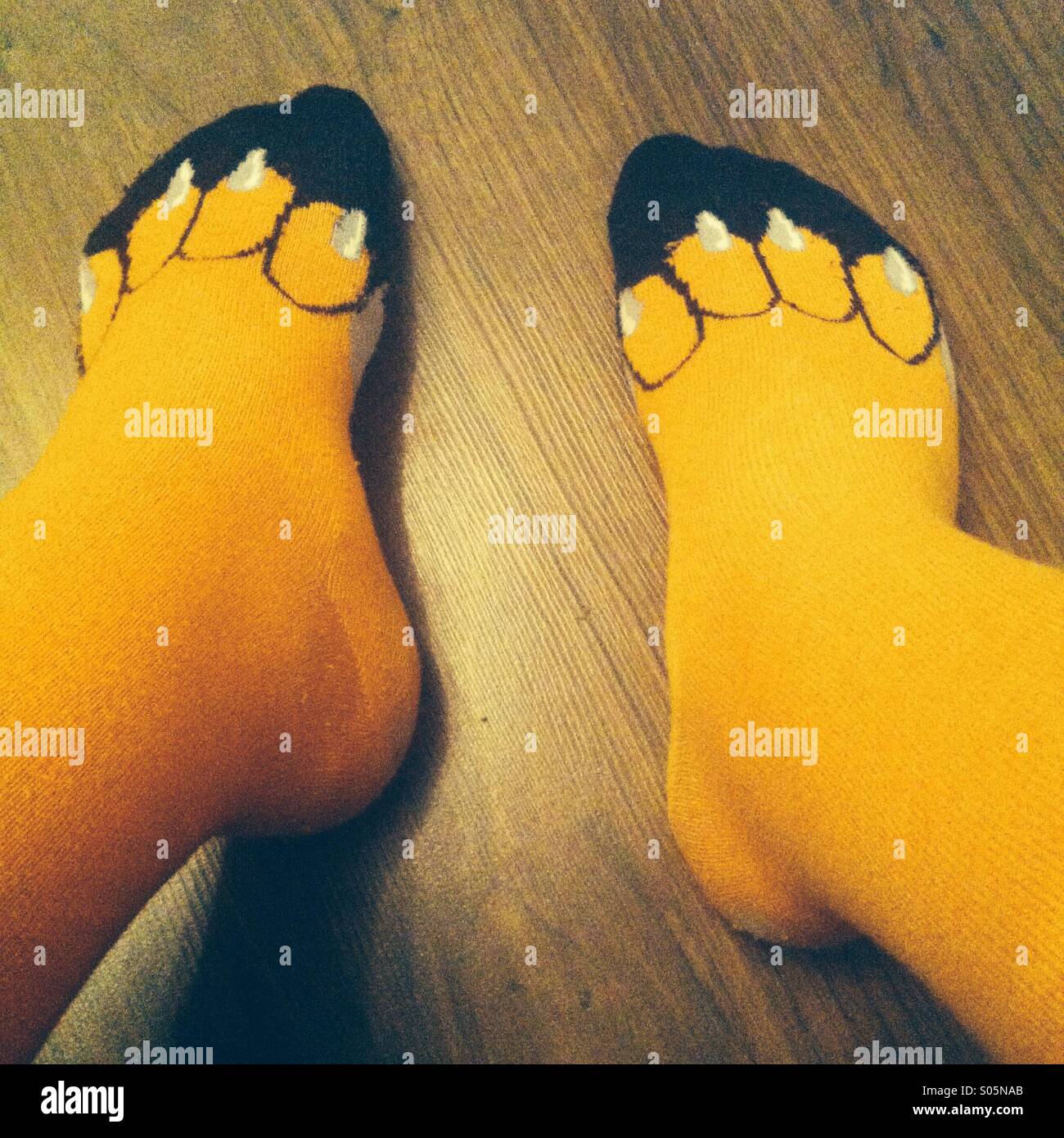 Mannes Füße in orange Tier Pfote Socken gegen einen Holzboden Stockfoto