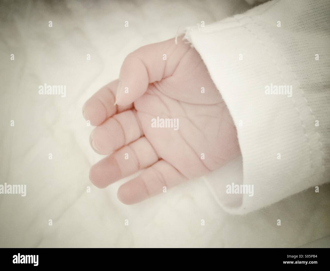 Neugeborenen-hand Stockfoto