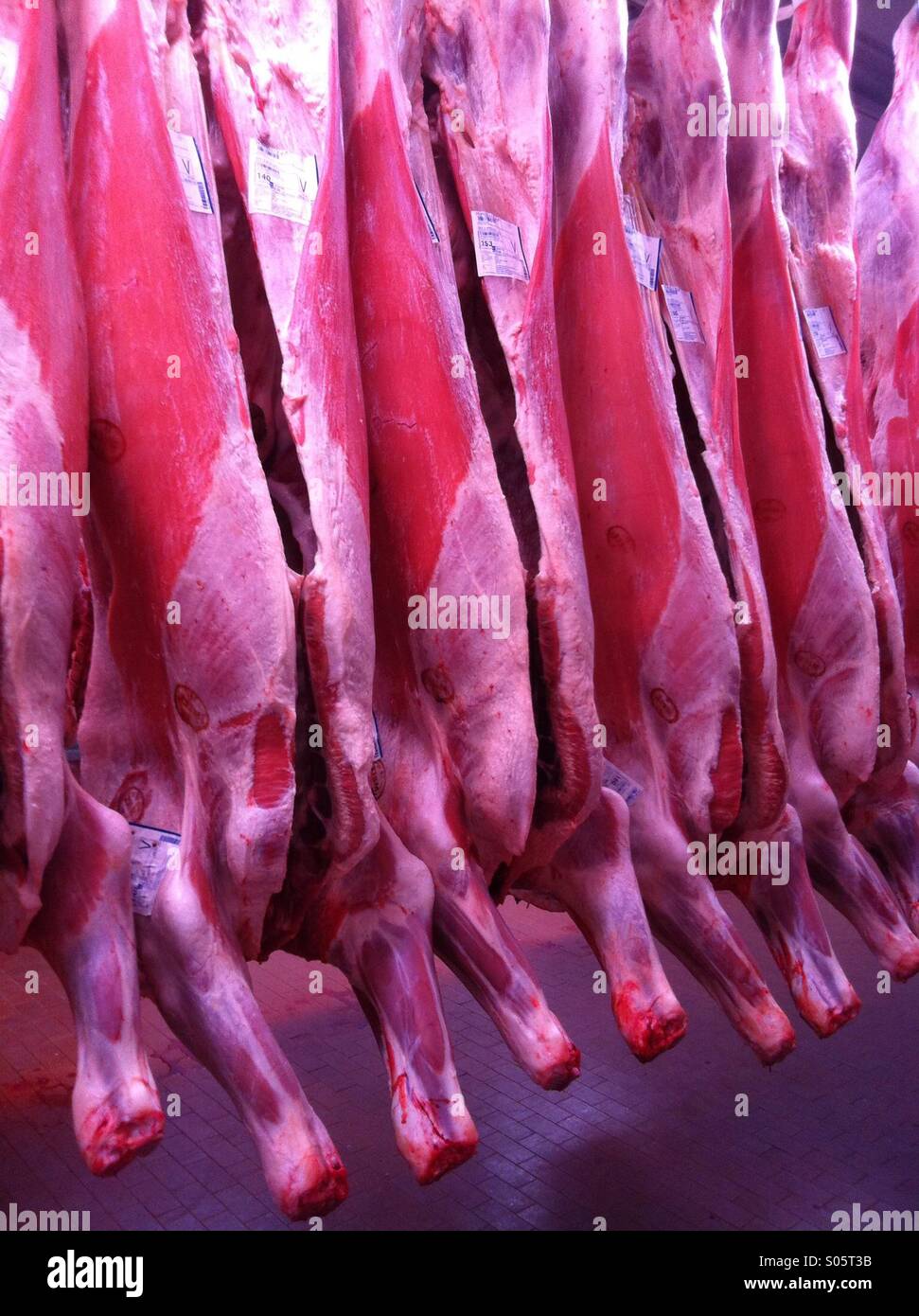 Rindfleisch-Kadaver hing im Schlachthaus Stockfoto