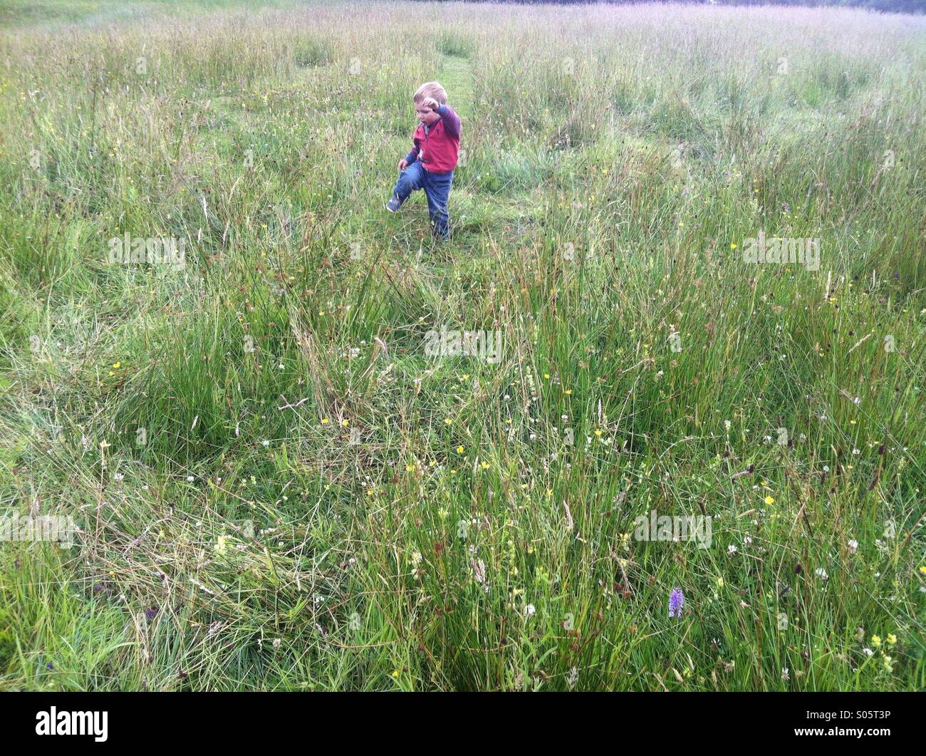 Ein Junge zu Fuß langen Gras im Sommer Stockfoto