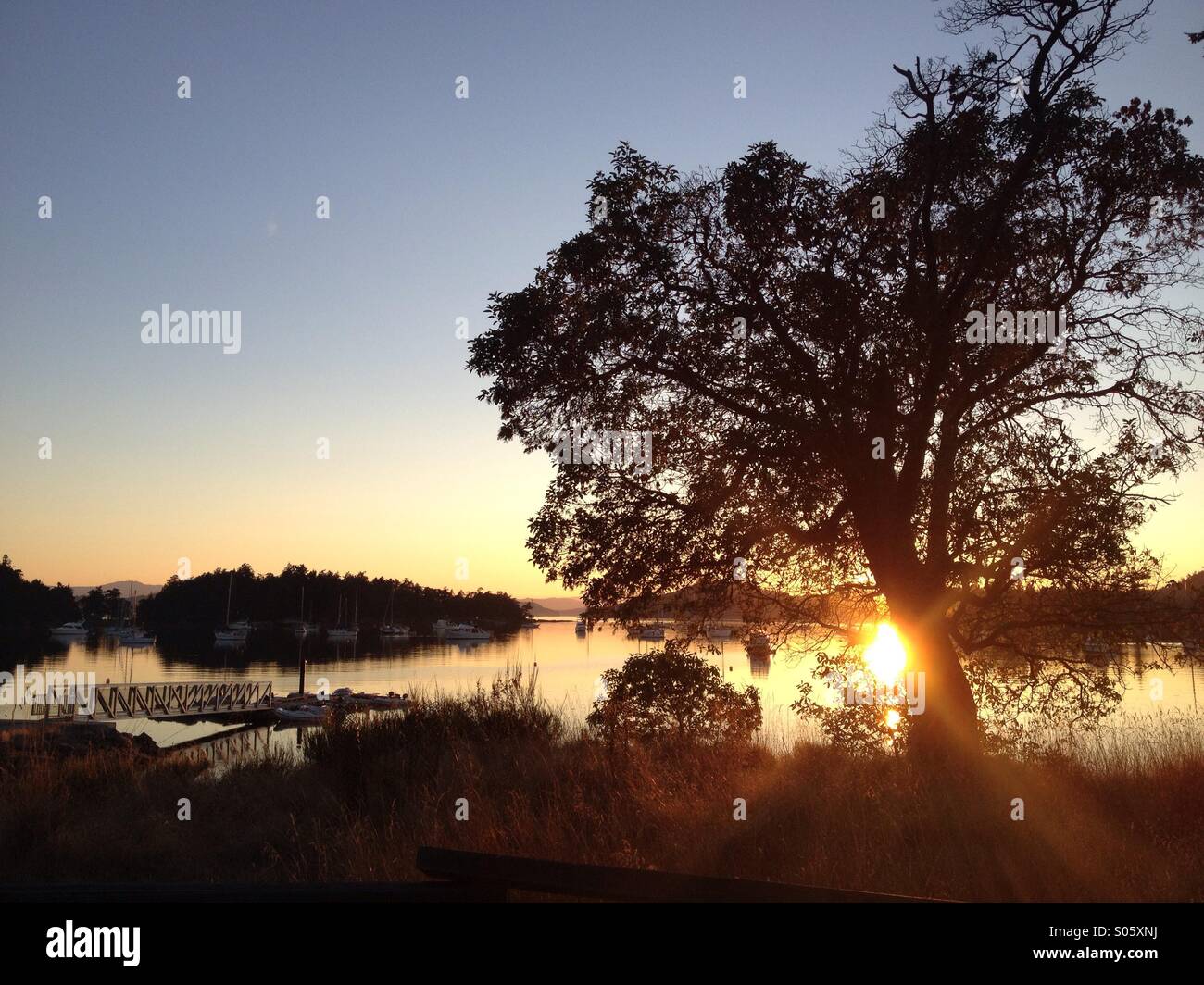 Saturna Island - Gulf Islands, BC - Kanada Stockfoto