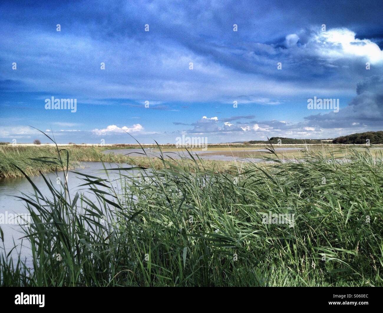 Ein Blick auf Cley Sümpfe in Norfolk, England, UK Stockfoto