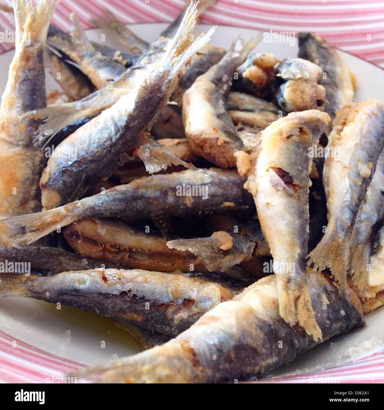 Gebratene Sardinen Fisch in Schüssel Stockfoto