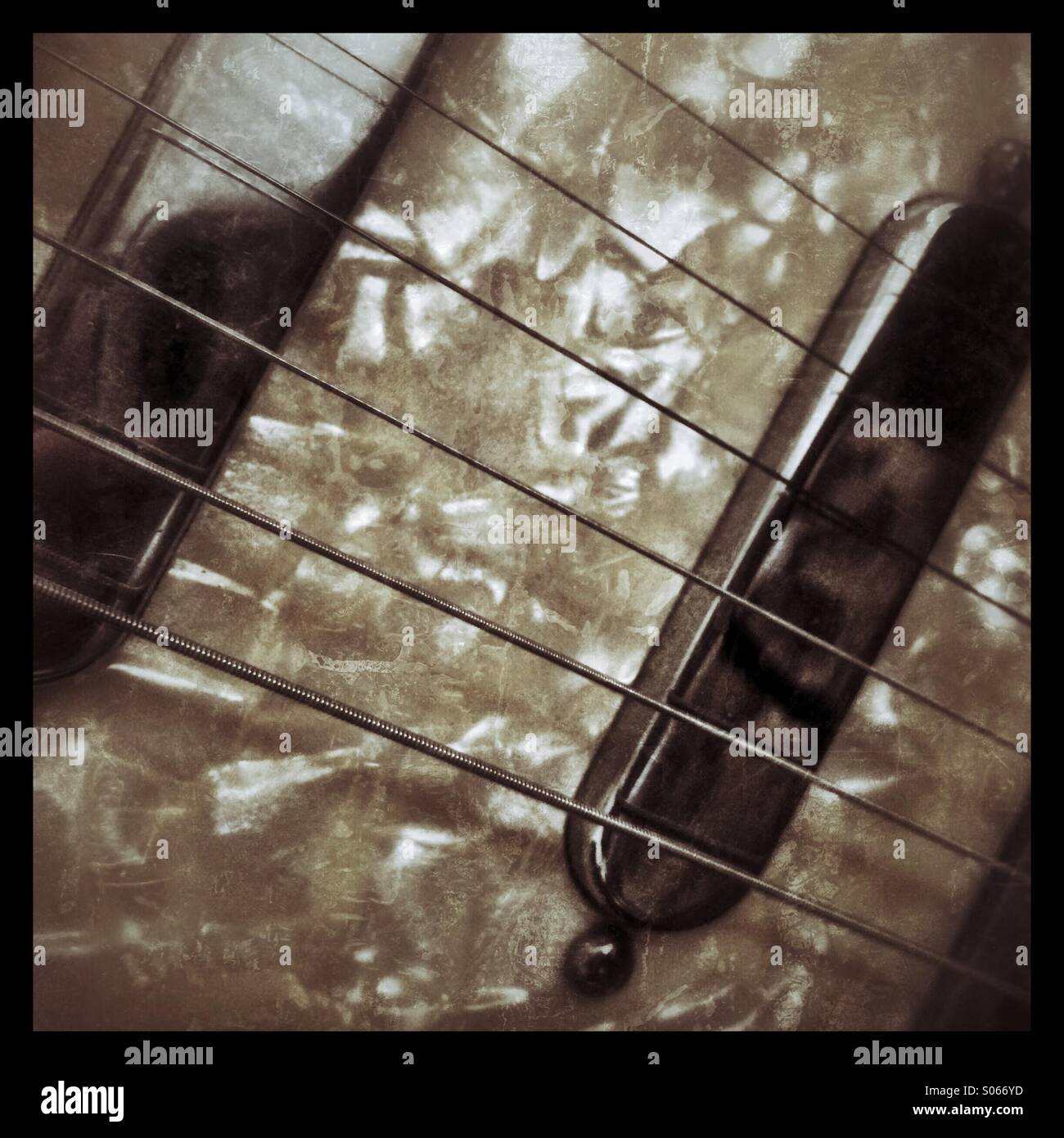 E-Gitarrensaiten Stockfoto