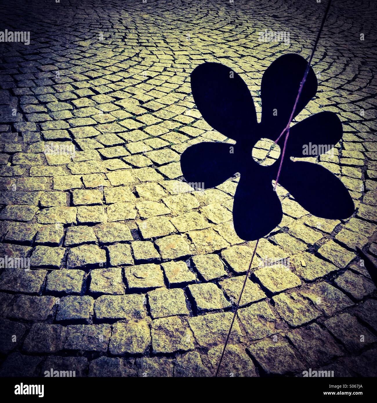 Künstlerische Blüte Silhouette und Kopfsteinpflaster in Füssen, Allgäu, Bayern, Deutschland, Europa Stockfoto