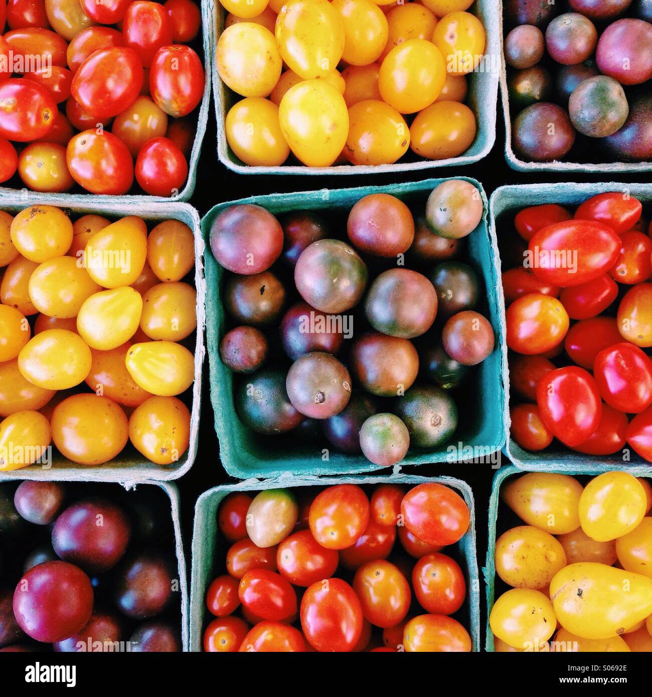 Auswahl an bunten Bauernhof frische Tomaten Stockfoto
