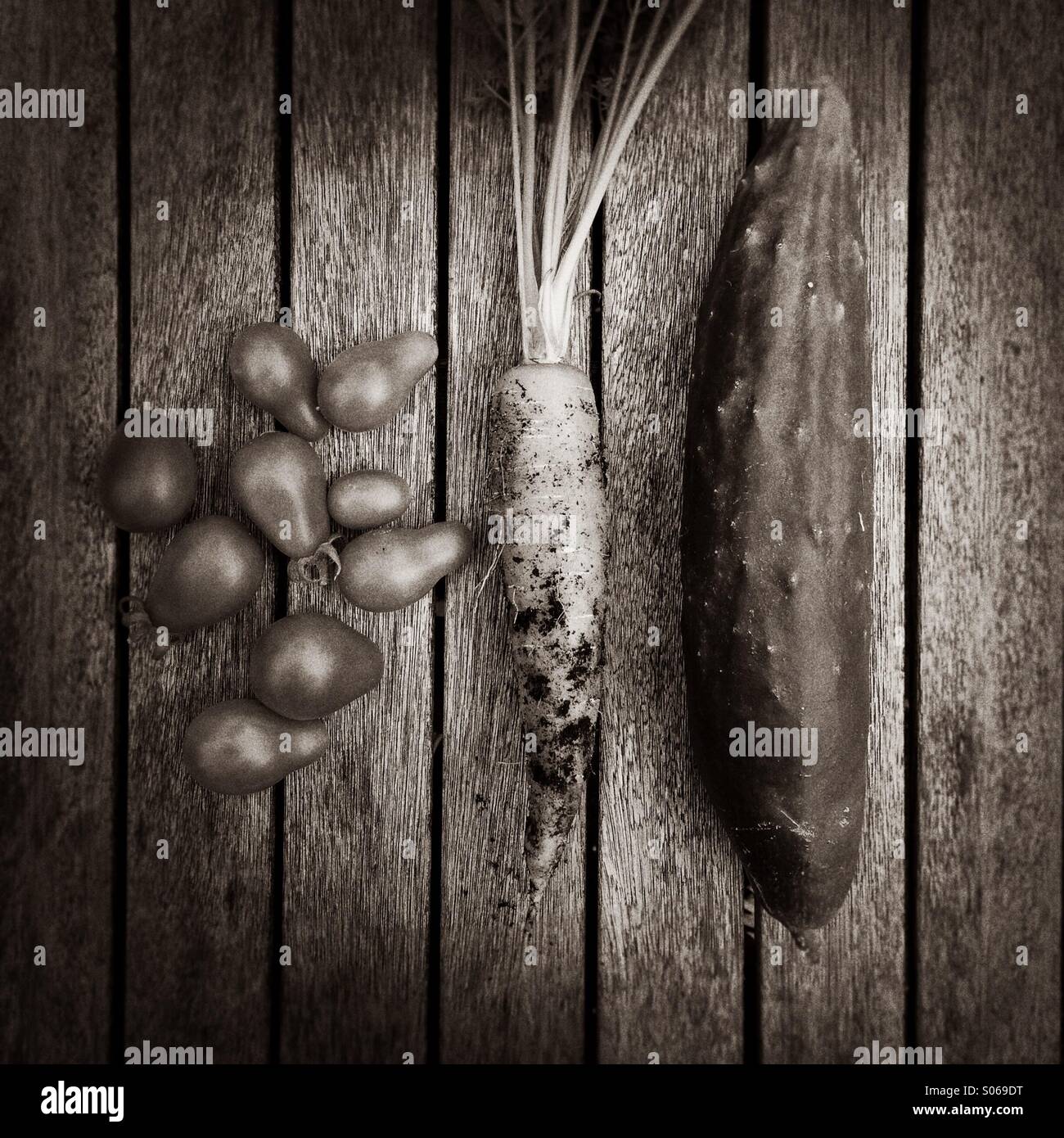 Tomaten, Karotten und Gurken. Wachstum Ihres eigenen Stockfoto