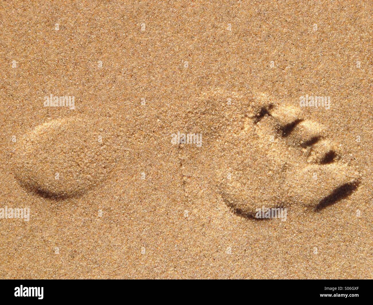 Fußabdruck im sand Stockfoto