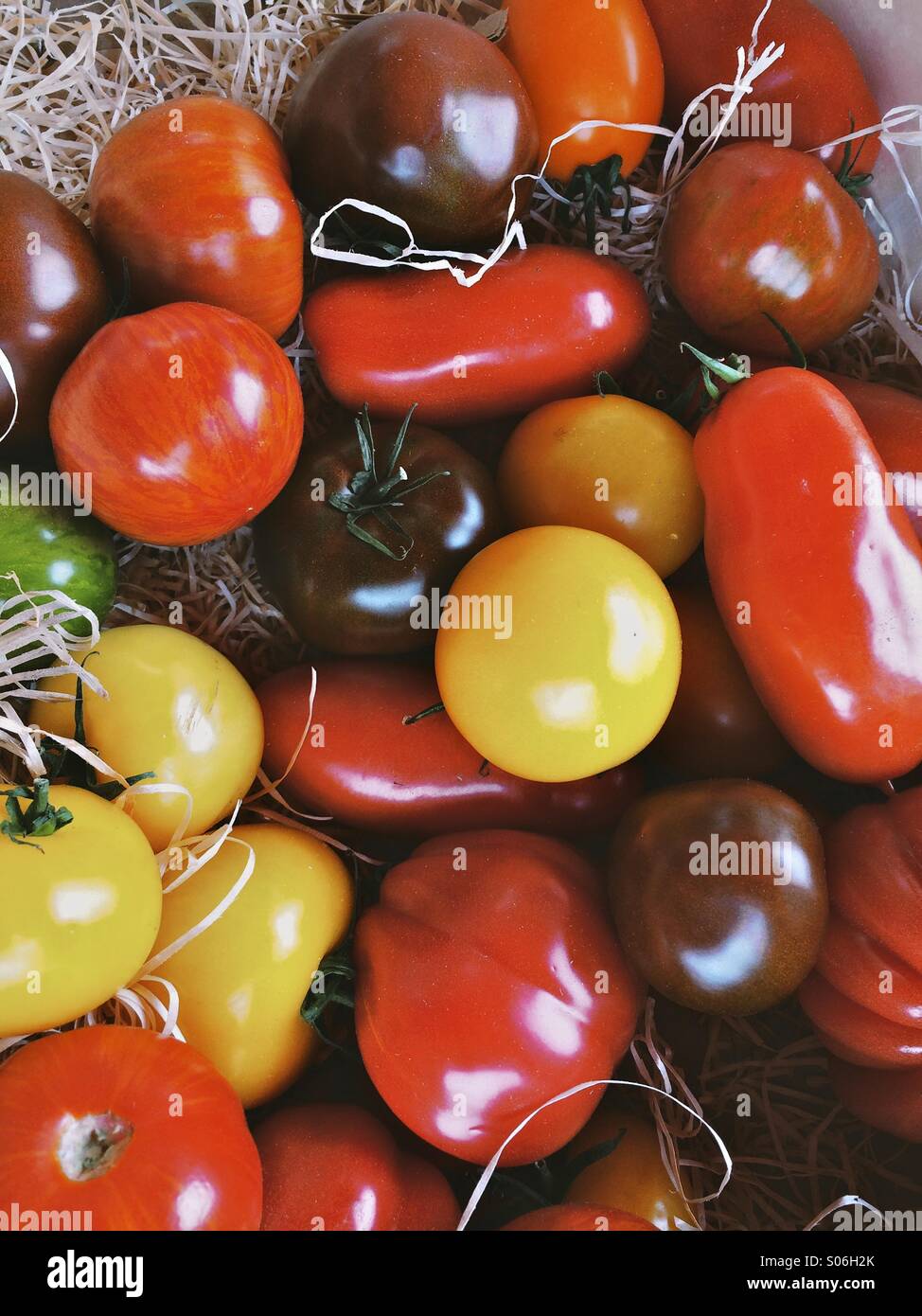Andere Farbe Tomaten in einer Schale Stockfoto