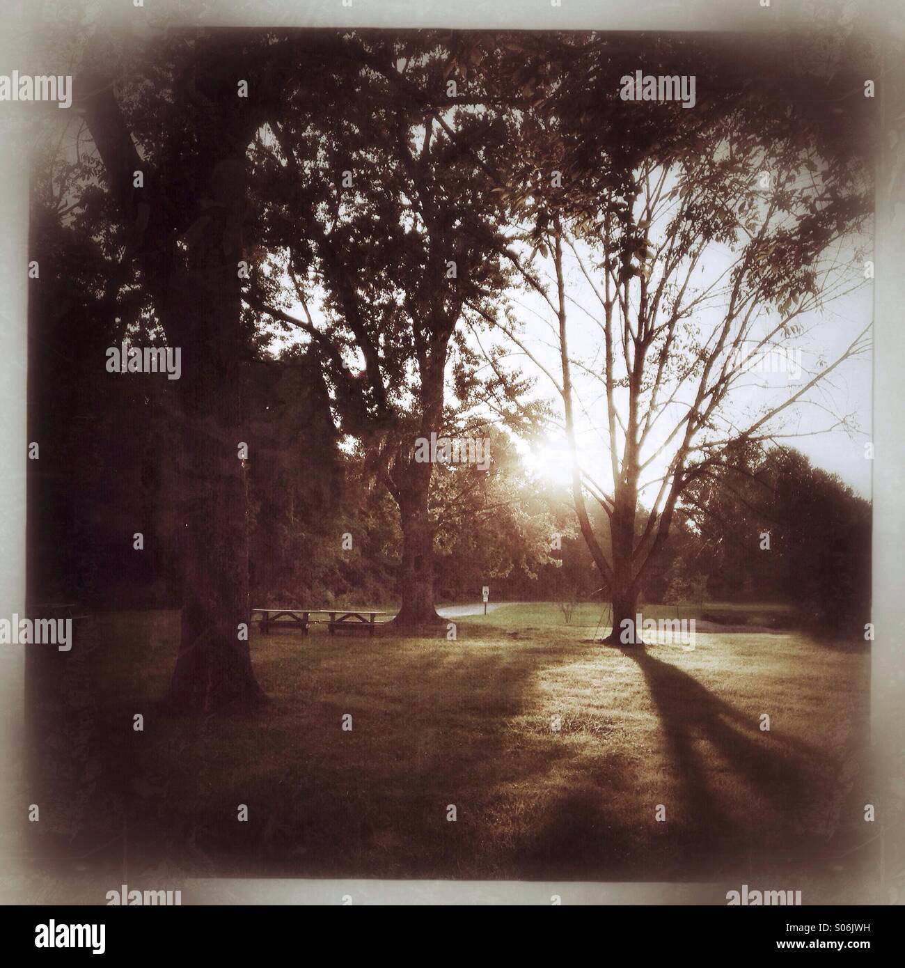 Sonnenlicht. - Smartphone-aufgenommenes Stockfoto