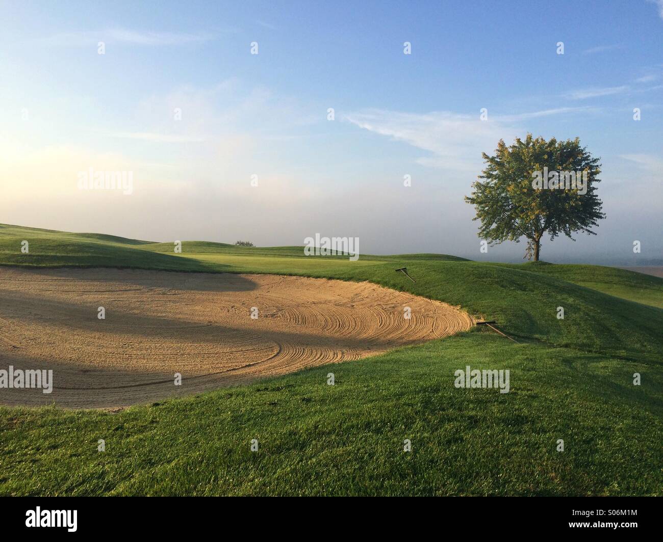 Auf einem Golfplatz im Morgennebel - Smartphone-aufgenommenes Stockfoto