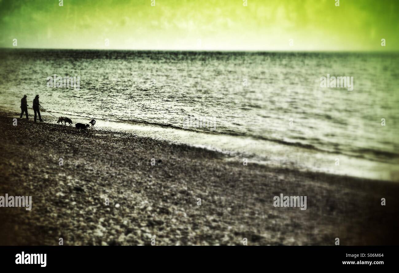 Trost am Ufer - Smartphone-aufgenommenes Stockfoto