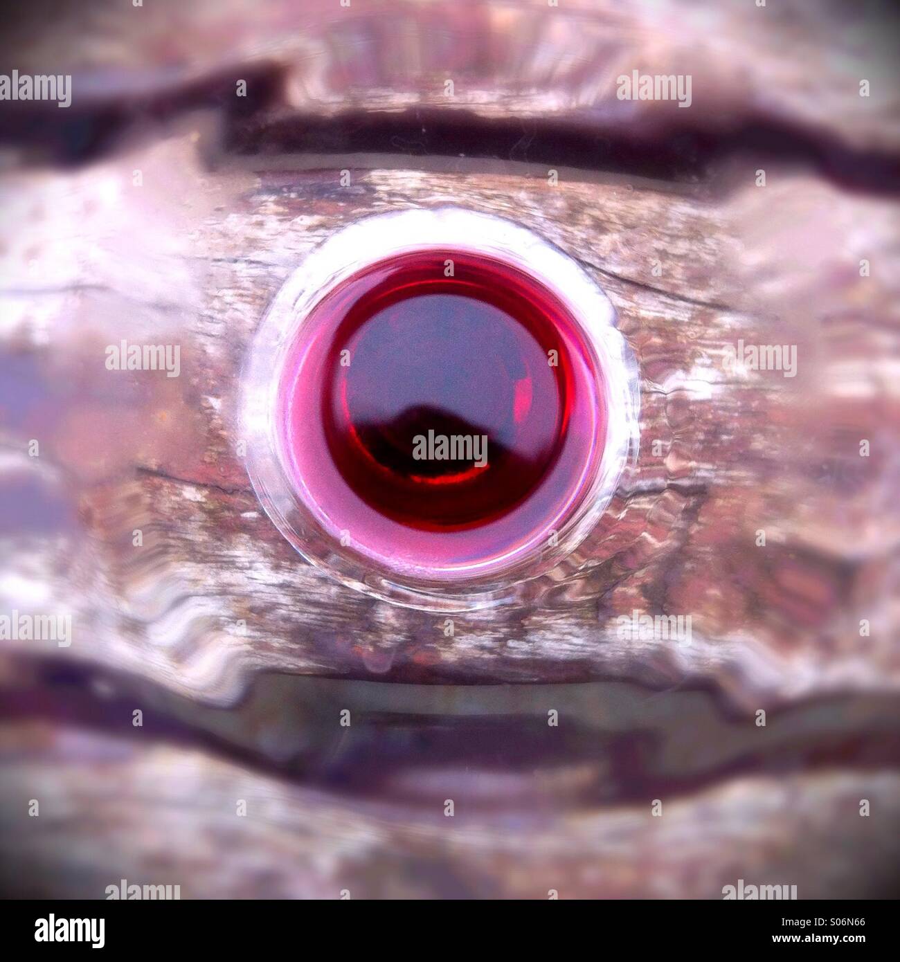 Rote Augen - Smartphone-aufgenommenes Stockfoto