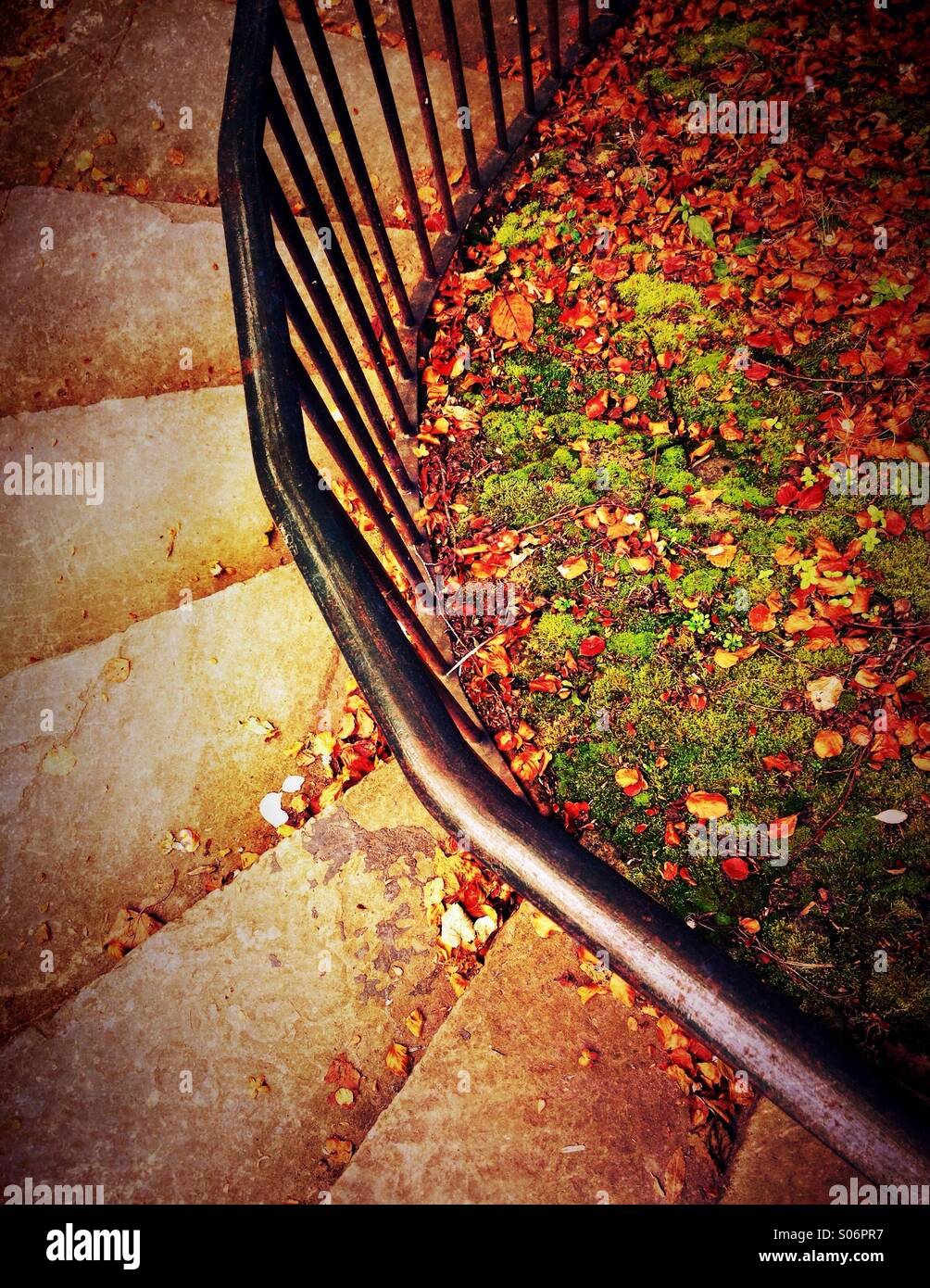 Geschwungene Stufen, Blätter Geländer und Herbst Stockfoto