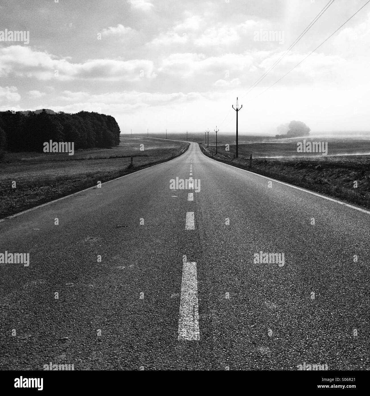 Leere Straßen im Morgennebel - Smartphone-aufgenommenes Stockfoto
