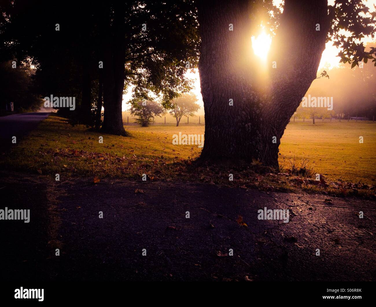 Herbst am Morgen Stockfoto