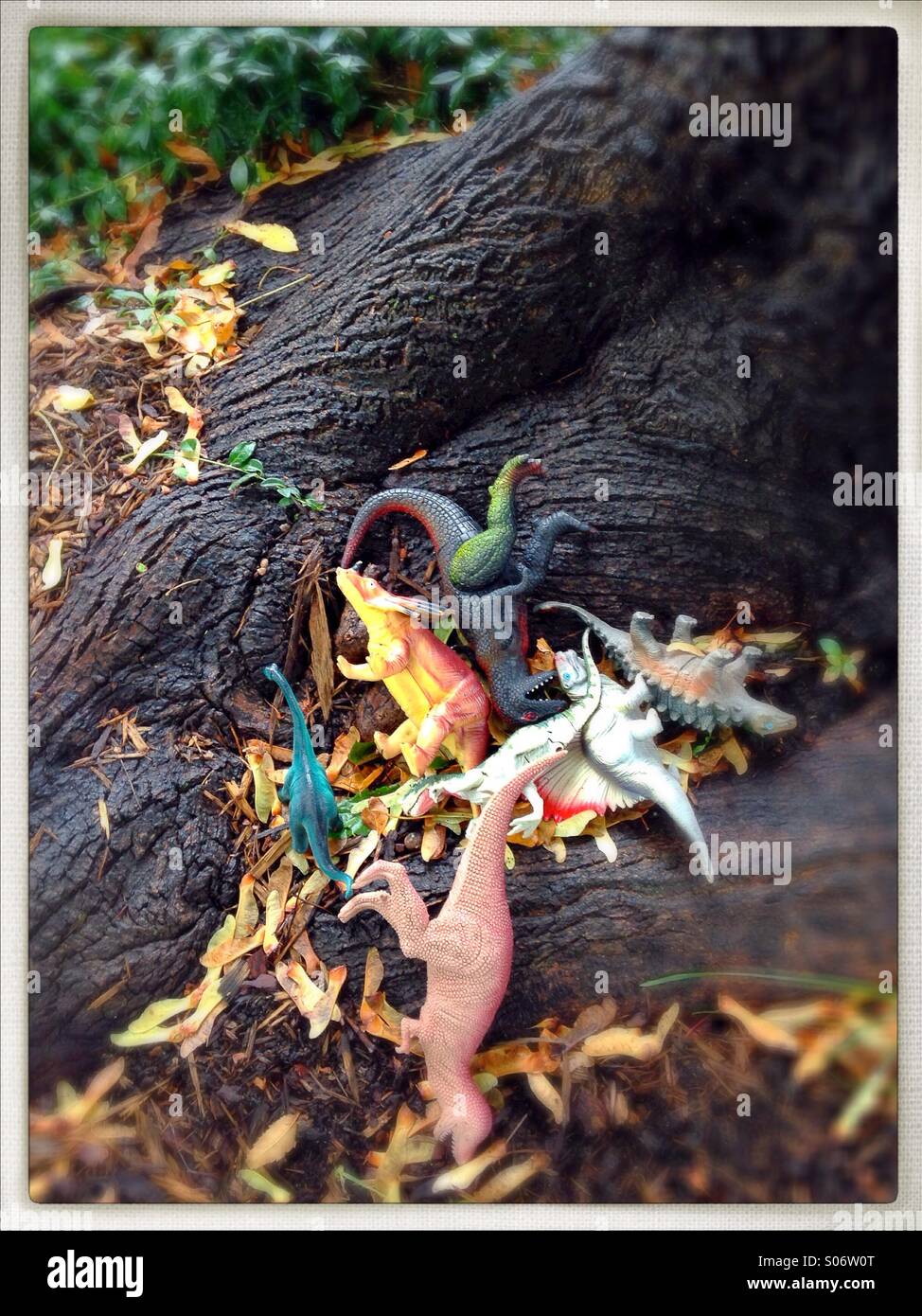 Eine Reihe von Spielzeug Dinosaurier verstreut unter einem Baum. Stockfoto