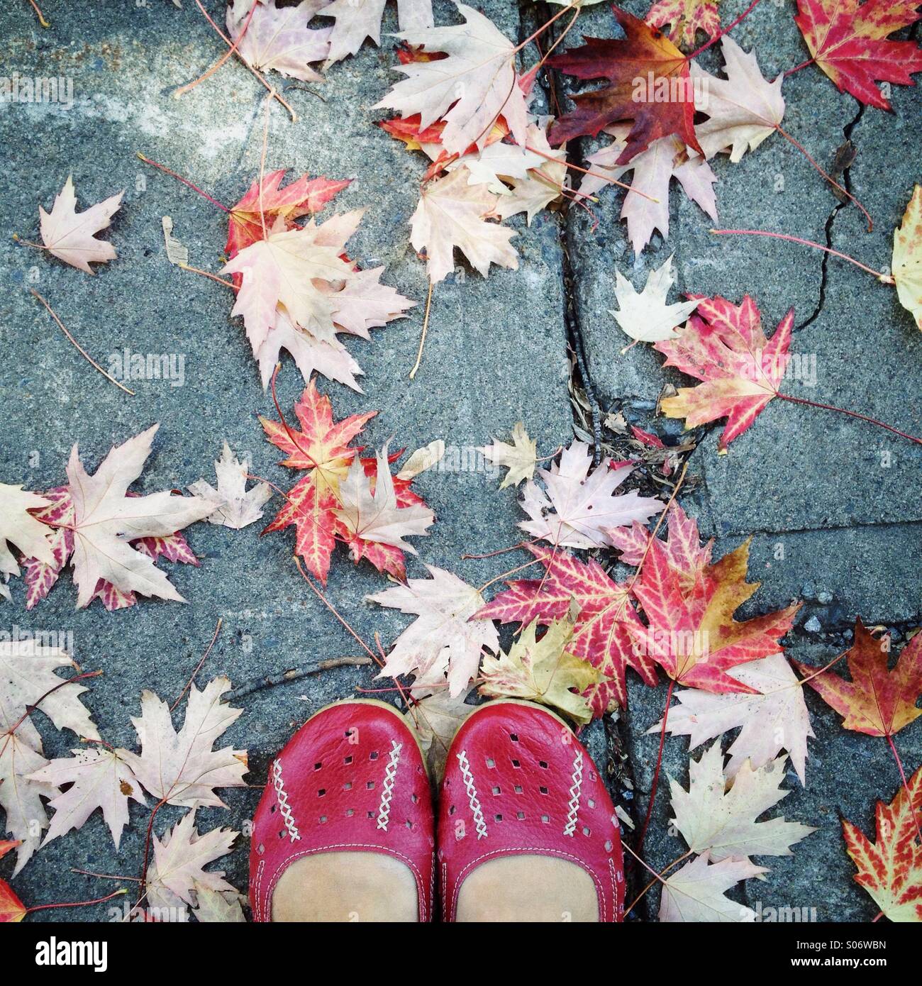 Füße und Herbstlaub - Smartphone-aufgenommenes Stockfoto