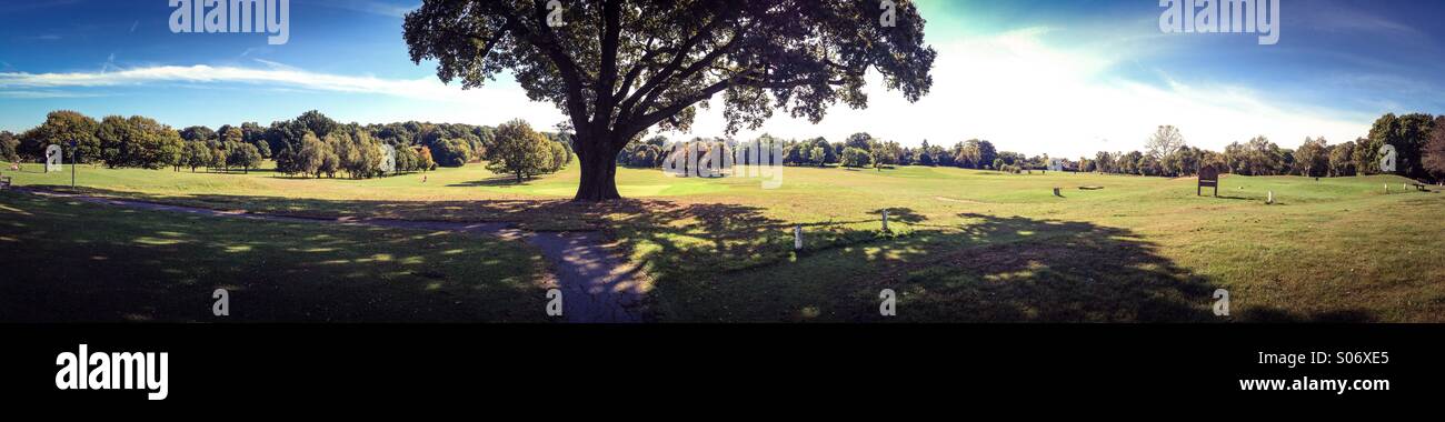 Panoramablick über den Golfplatz in Beckenham Place Park - Smartphone-aufgenommenes Stockfoto