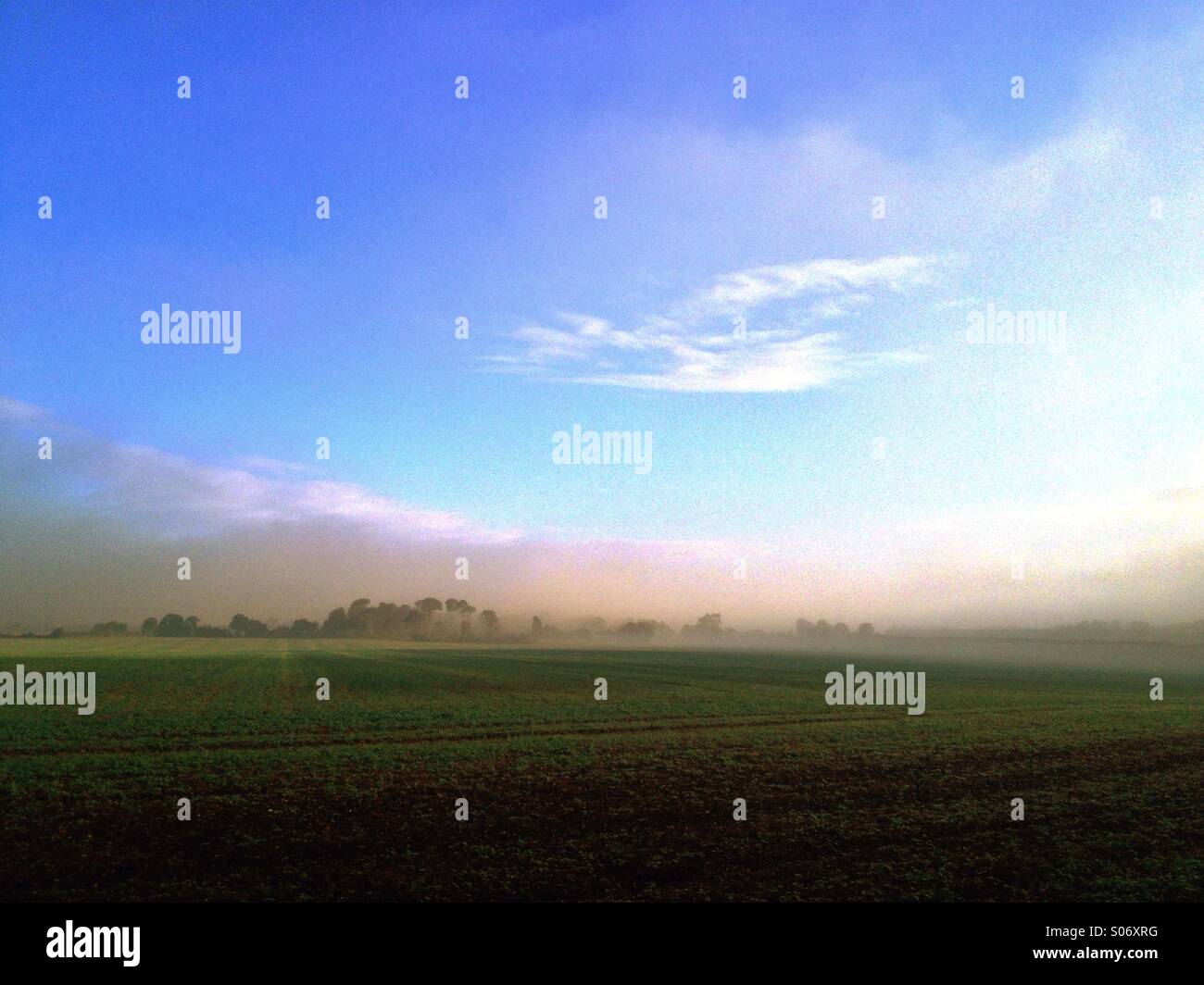 Misty Morning Stockfoto