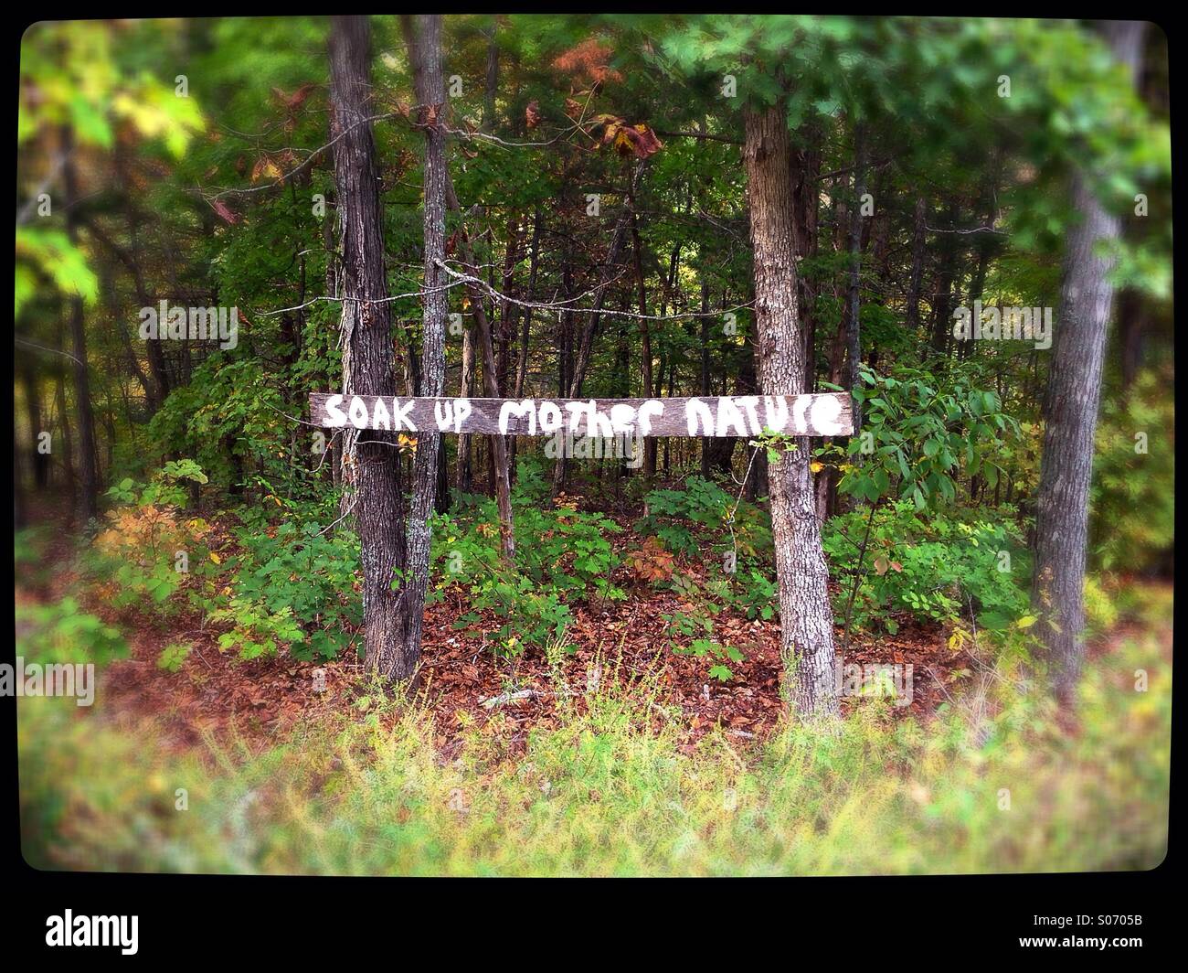 Ein Zeichen in den Wäldern, die liest "Mutter Natur tanken". Stockfoto