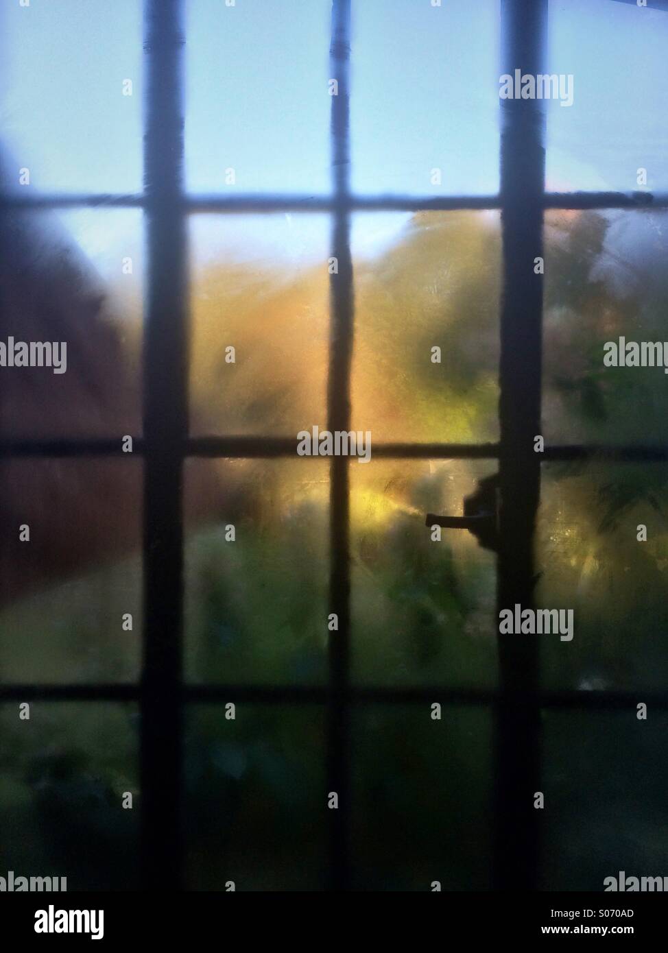 Fenster mit Blick auf Garten Stockfoto